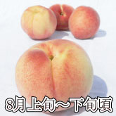 山梨県産の硬い桃 「カリカリ桃（はやもぎ）」 【3kg】