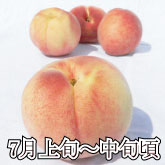 RY̍d uJJi͂jv y3kg@2 7{`{@o N[ցz