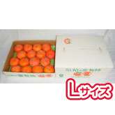 L̕xL`@y3.75kg L 15`16z
