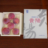 RỸX uMzv yϔ  6`7ʓ N[ցz