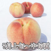 山梨県産の硬い桃 「カリカリ桃（はやもぎ）」 【3kg】