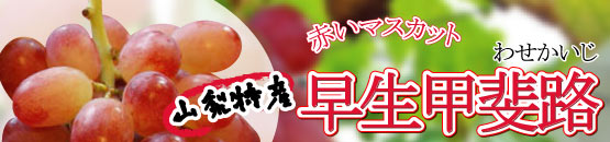 �����b��H�@�Ԃ��}�X�J�b�g