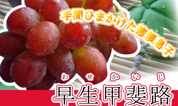 �����b��H
