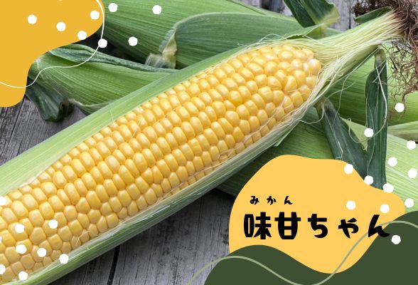 h`Fh[